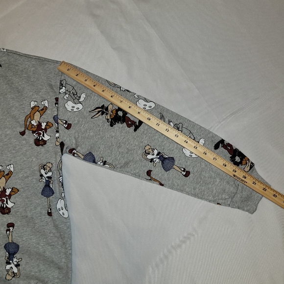 WB Sweatshirt Juniors Small Looney Tunes 100 Year Sweater Gray With Characters - Picture 8 of 8